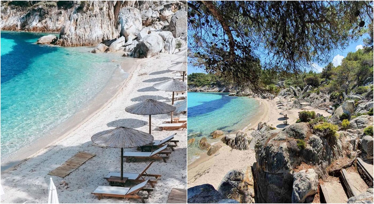  Kavourotripes Paradise Sitonija 